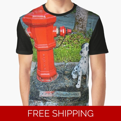 Le Studio Graphic T-Shirt Rush Signals Monument 2019